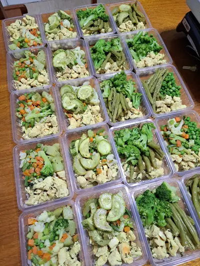 Diversas porções de frango com legumes variados, prontas para a semana
